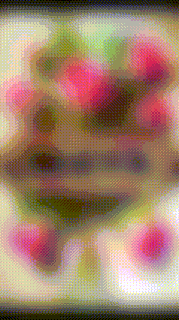 a blurry picture of flowers on a table with a black border