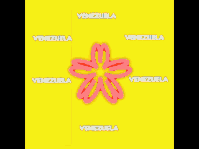 a venezuela flag with a flower in the center