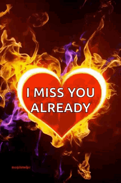 a fire heart with the words `` i miss you already '' written on it .