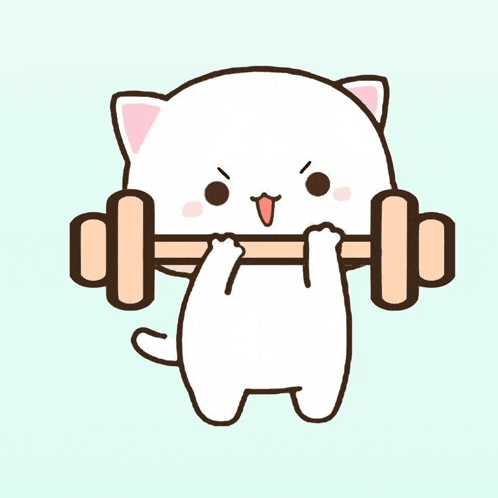 a cat is lifting a dumbbell with its paws