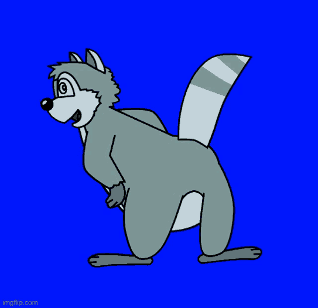 a cartoon drawing of a raccoon standing on its hind legs on a blue background