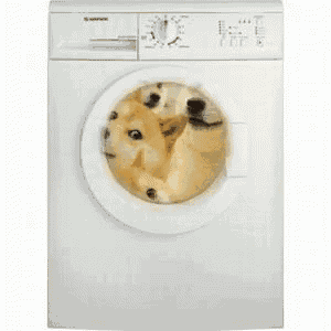 a white washing machine with a picture of a dog in the door