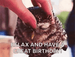 a person is petting a small owl with the words `` relax and have a great birthday '' .