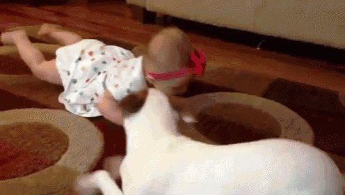 No Silly Human, It'S Like This! GIF - Dog Baby Crawl GIFs