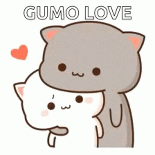 Cute Cat GIF - Cute Cat Couple GIFs