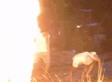 a man is crawling in the grass while a fire is coming out of the ground behind him .