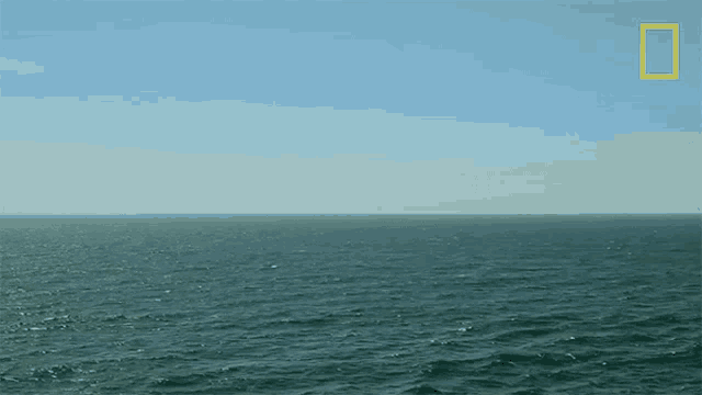 Relaxing View When Sharks Attack GIF - Relaxing View When Sharks Attack Calming Sea GIFs