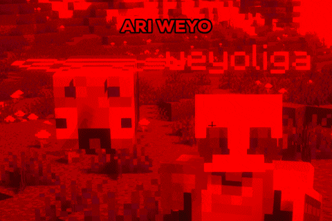 a screenshot of a video game with the name ari weyo written on it