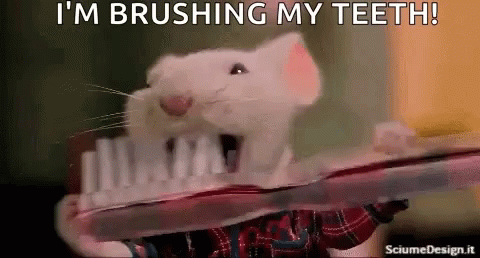 Stuart Little Brushing Teeth GIF - Stuart Little Brushing Teeth Tooth GIFs