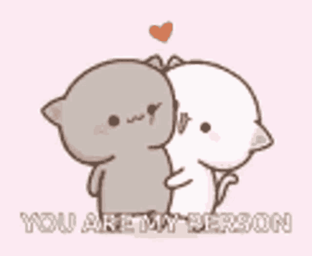 a couple of cats hugging each other with the words `` you are my person '' written on the bottom .