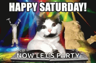 Happy Saturday Cats GIF - Happy Saturday Cats Dance GIFs