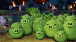 Angry Birds Pigs GIF - Angry Birds Pigs GIFs