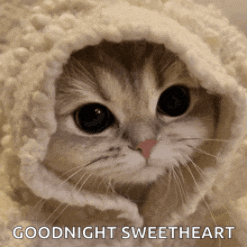 a cat is wrapped in a white blanket and the words goodnight sweetheart are below it