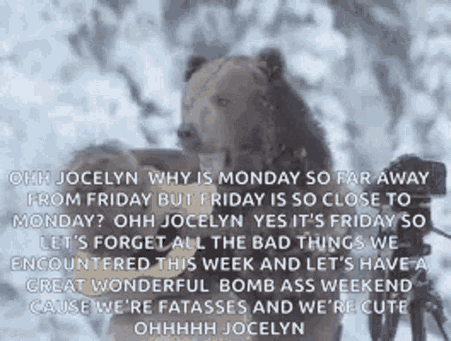 a bear is standing in the snow and talking to a woman .