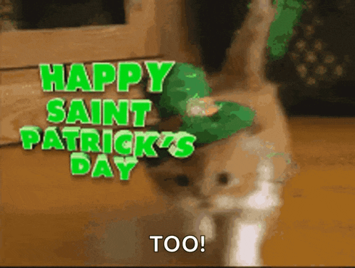 a cat wearing a leprechaun hat says happy saint patrick 's day