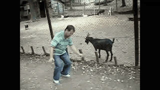 a man in a green shirt is dancing in front of a goat .