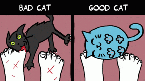Good Cat Bad Cat GIF - Good Cat Bad Cat Scratch GIFs