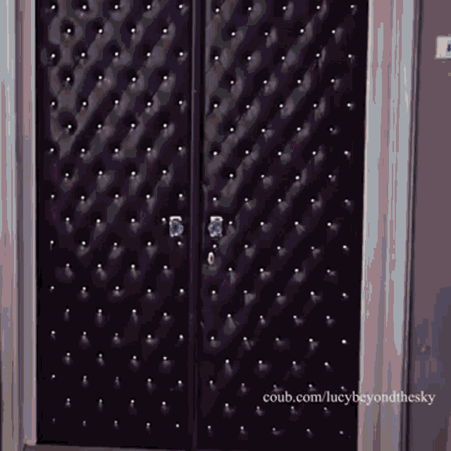 a black door with rhinestones on it and the website coub.com/lucybeyondthesky