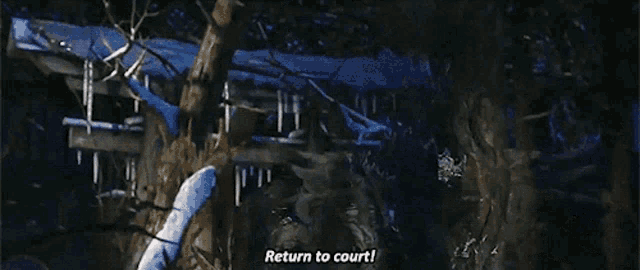 a video game character says return to court in a dark forest