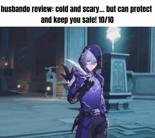 a screenshot of a video game says husbando review cold and scary but can protect and keep you safe 10/10