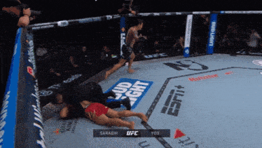 two fighters in a ufc ring with a bud light advertisement