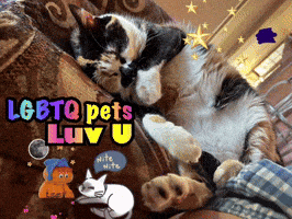 a calico cat laying on a couch with the words lgbtq pets luv u above it