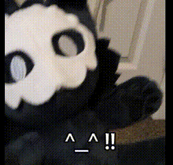 a black and white stuffed animal with a skull on it