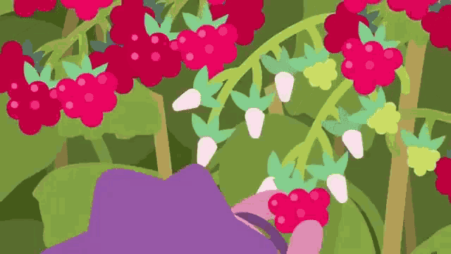 a cartoon drawing of a person picking raspberries from a bush .