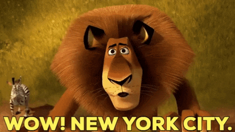 a cartoon lion is standing next to a zebra and says wow new york city
