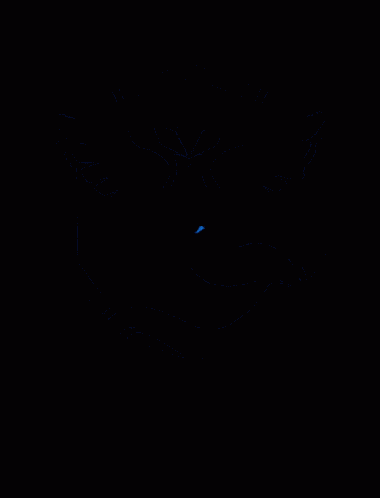 a blue bird on a black background with the letter s
