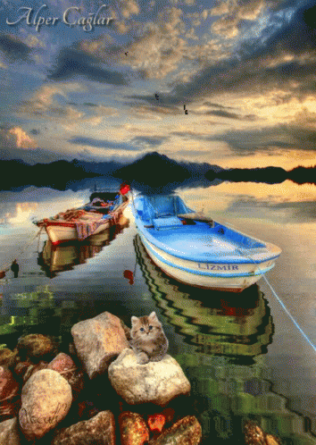 Boat Lake GIF - Boat Lake Stone GIFs