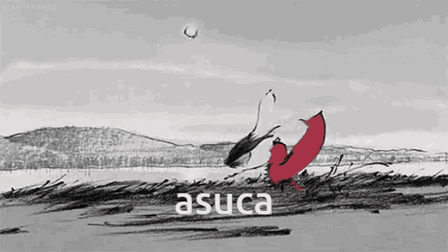 a black and white drawing of a fox and a bird with the word asuca on the bottom