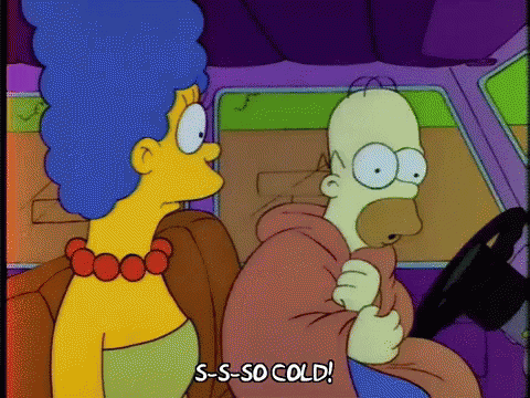 The Simpsons Homer GIF - The Simpsons Homer Freezing GIFs