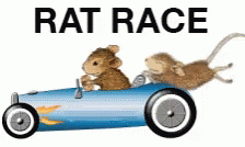 Rat Race GIF - Rat Race GIFs
