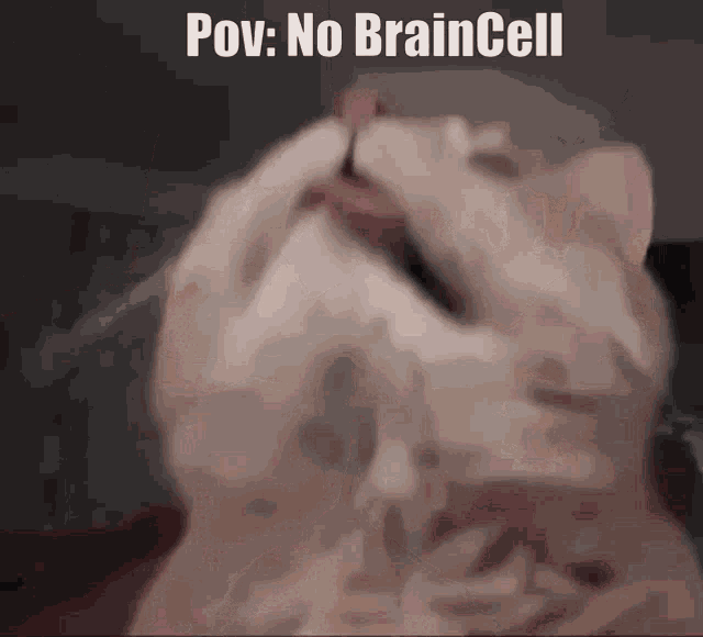 No Braincell GIF - No Braincell GIFs