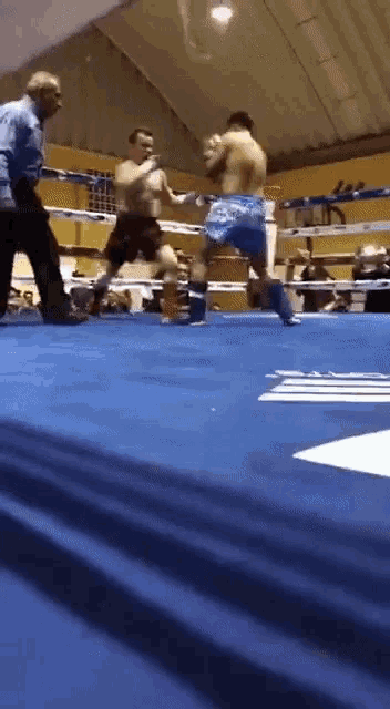 two boxers are fighting in a boxing ring and one of them is wearing blue shorts