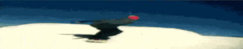 a snowboarder is doing a trick on top of a snow covered slope
