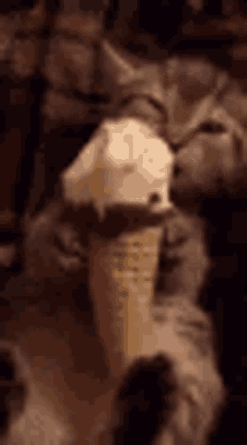 a close up of a cat eating ice cream in an ice cream cone .