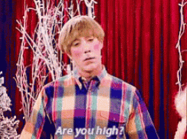 a man in a plaid shirt is asking if he is high