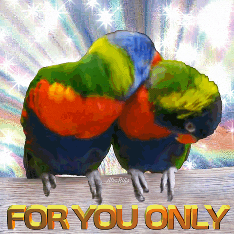 two colorful birds are sitting on a wooden table with the words for you only above them