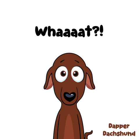 a cartoon of a dachshund with the words whaaaat behind it