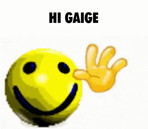 a smiley face with a hand waving next to it and the words `` hi gaige '' .