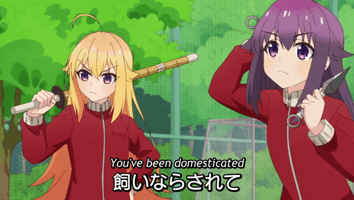 two anime girls are standing next to each other with the words you 've been domesticated in the corner