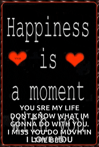 a poster that says happiness is a moment on it