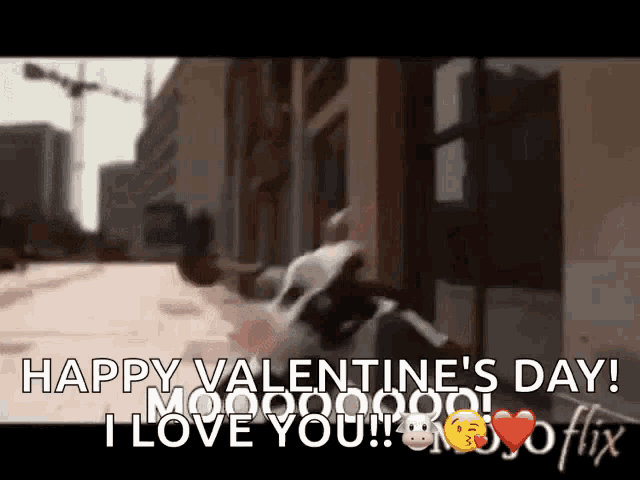 a video of a raccoon saying happy valentine 's day i love you !