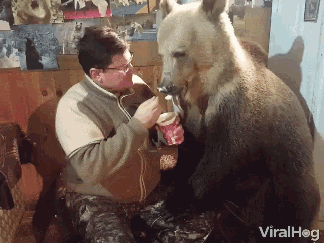 Viralhog Bears GIF - Viralhog Bears Hungry GIFs