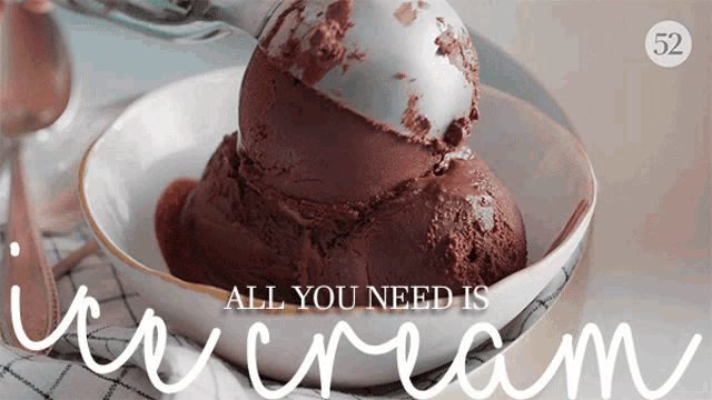 All You Need Is Ice Cream Chocolate Ice Cream GIF