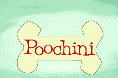 a logo for poochini created by dave thomas with a cartoon dog on it