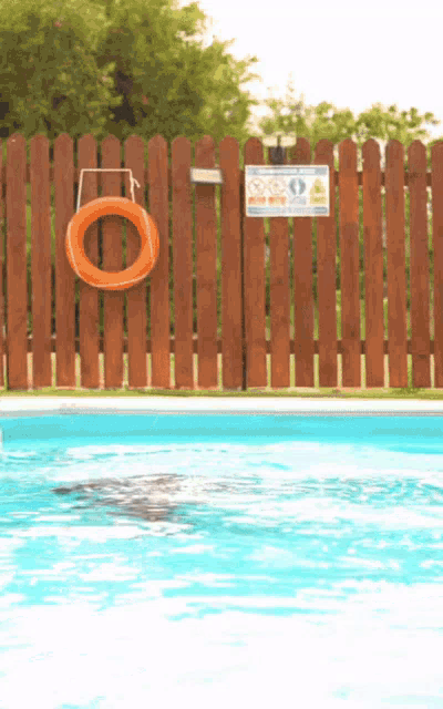a life preserver hangs from a wooden fence near a pool