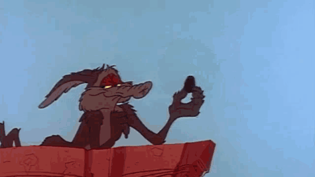 a cartoon coyote is holding a light bulb .
